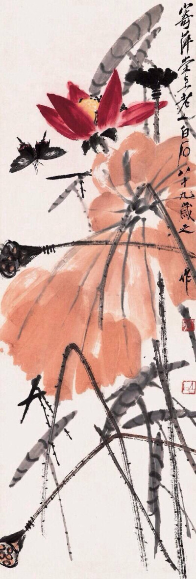 “ 常恐秋风早，飘零君不知 … ”