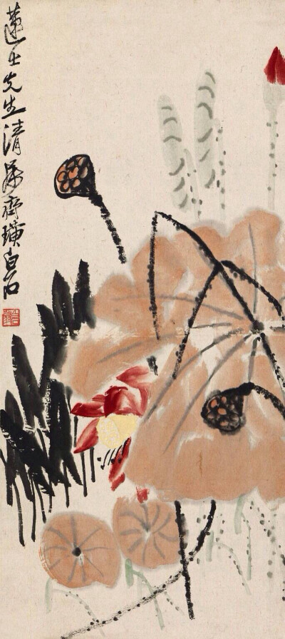 “ 常恐秋风早，飘零君不知 … ”