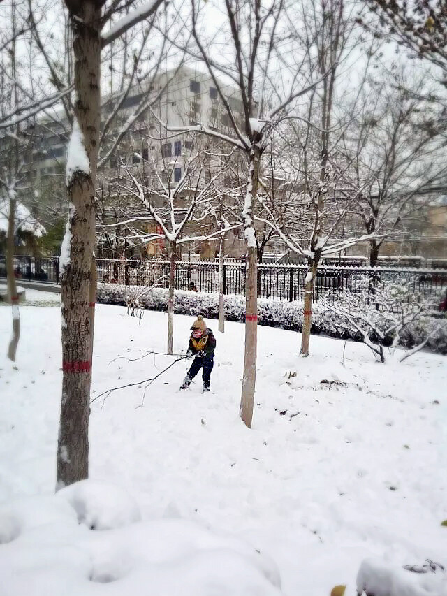 雪地玩耍的小孩