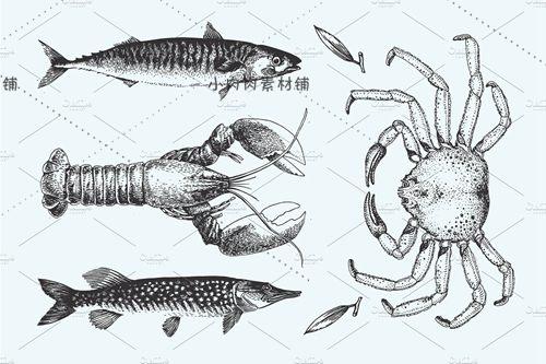 黑白素描海洋生物章鱼螃蟹贝壳海星鱼龙虾线稿图ai矢量素材ai230