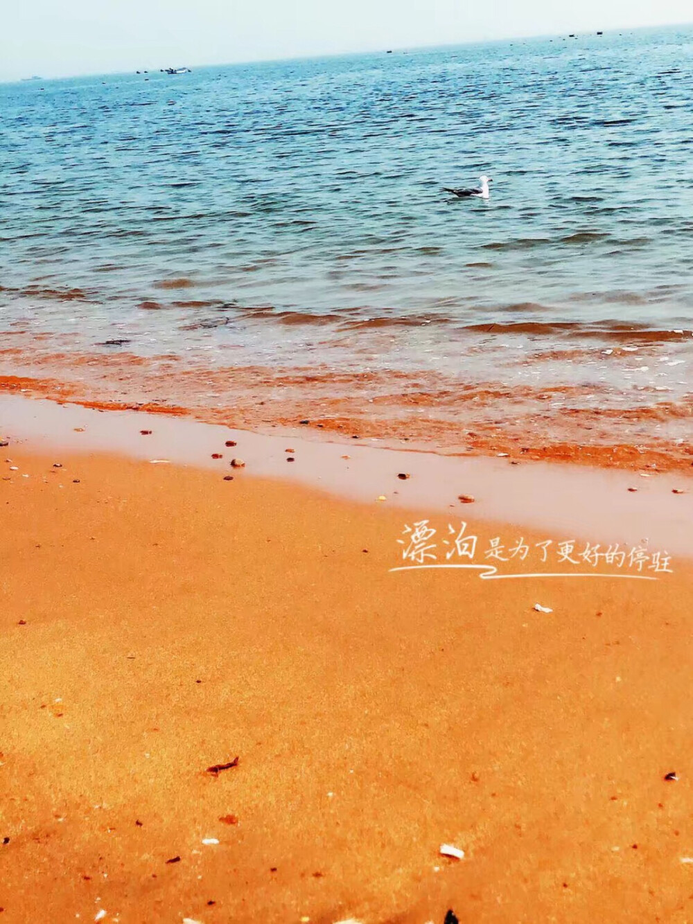 一个人的旅行