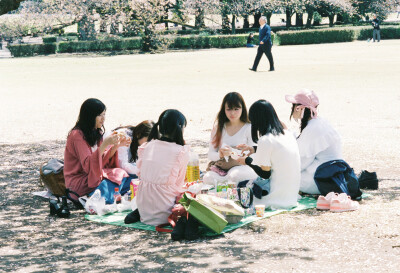 远足 胶片摄影 野餐 日本游拍 旅拍 樱花树下