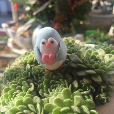 马卡龙色小企鹅