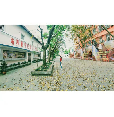 不知道会在这条路上坚持多久 我会努力的