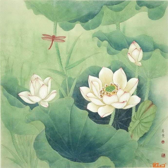 工笔画 荷花
