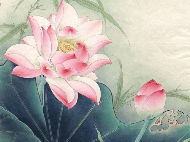 工笔画 荷花
