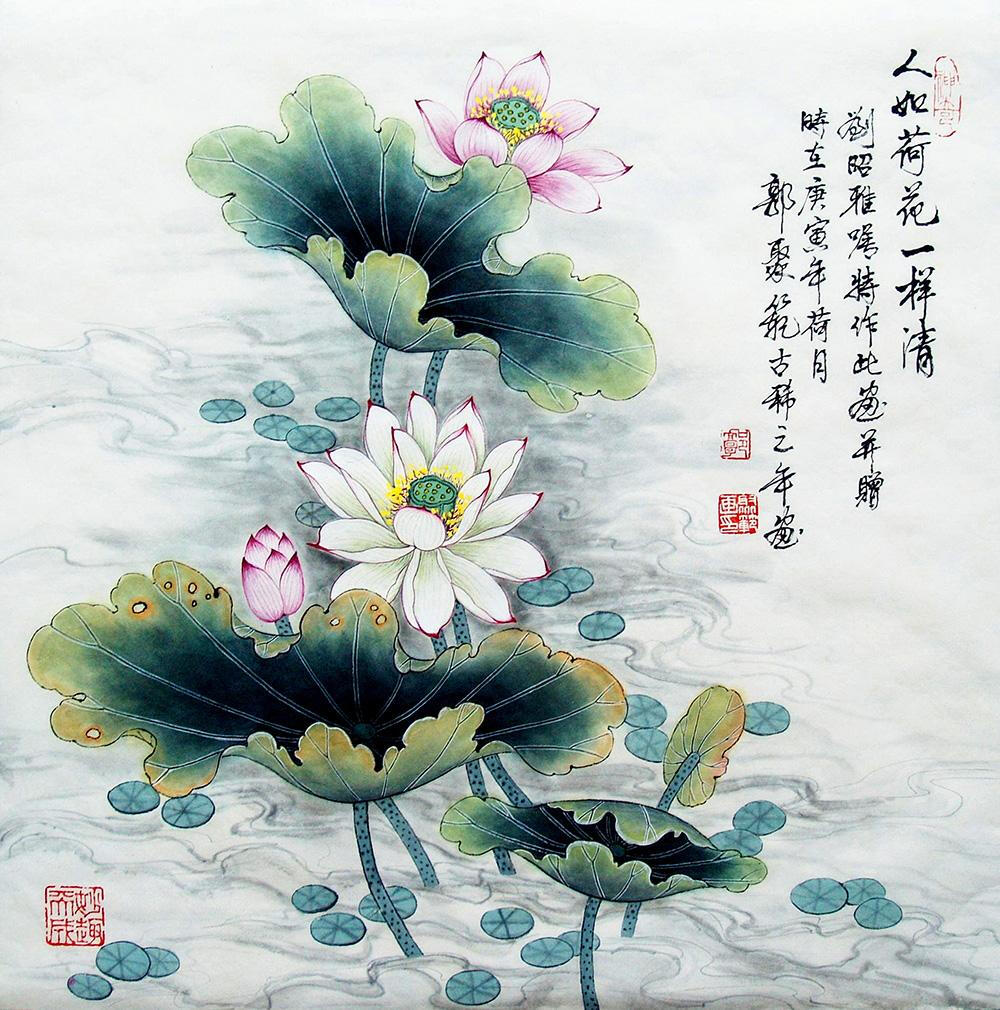 工笔画 荷花