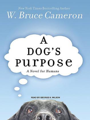《A Dog's Purpose》W·Bruce Cameron 推薦，寫得平淡而溫馨，關於一直狗狗的四生四世，故事里滿滿的愛，讀起來暖暖的~~~我也好想養一直夠啊~~~~~~PS:這是第一百本，啦啦聊~~~