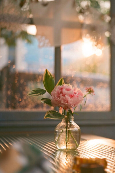 日落黄昏 光影里的玫瑰
