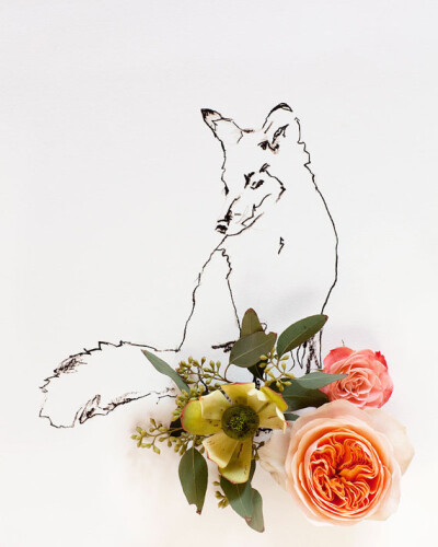 [花卉与插画的创意摄影] Kari Herer, 美国艺术家&摄影师，来自缅因州波特兰，专职婚礼和人像摄影。鉴于她的平面和美术经验，Kari Herer将多彩的鲜花和素描有机结合，创造出一种虚中有实, 实中有虚的趣味影像。
