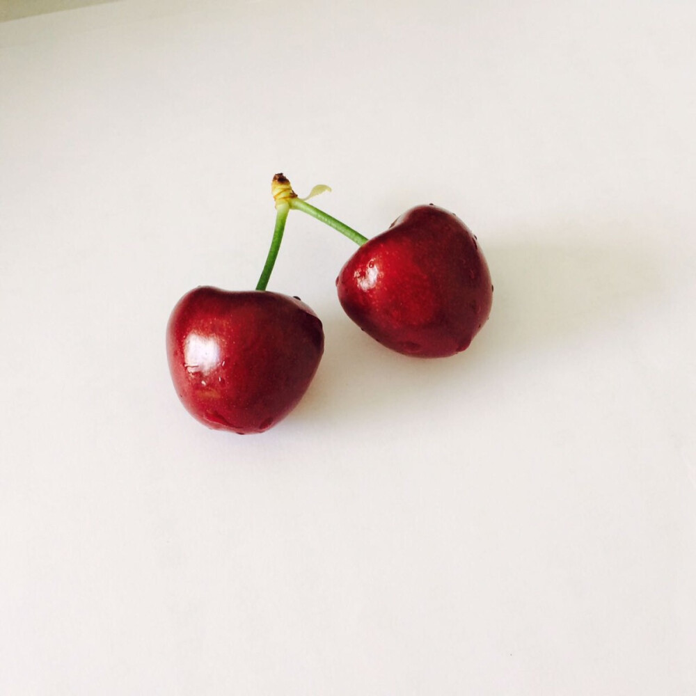 Cherry 