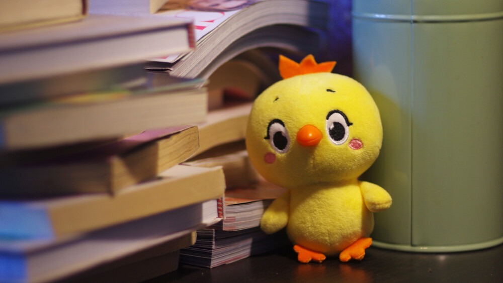 小黄鸡高登摄影作品（2）