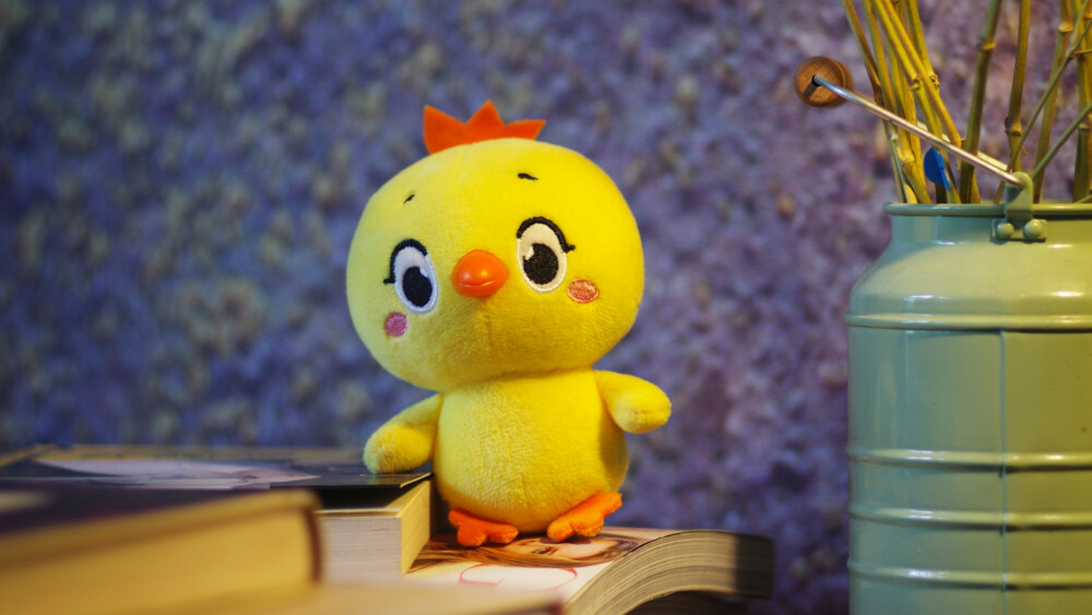 小黄鸡高登摄影作品（3）