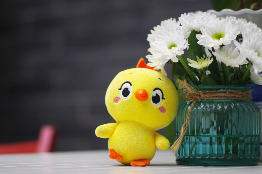 小黄鸡高登摄影作品（4）