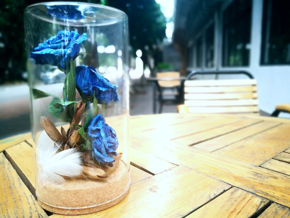 花开季-蓝色妖姬