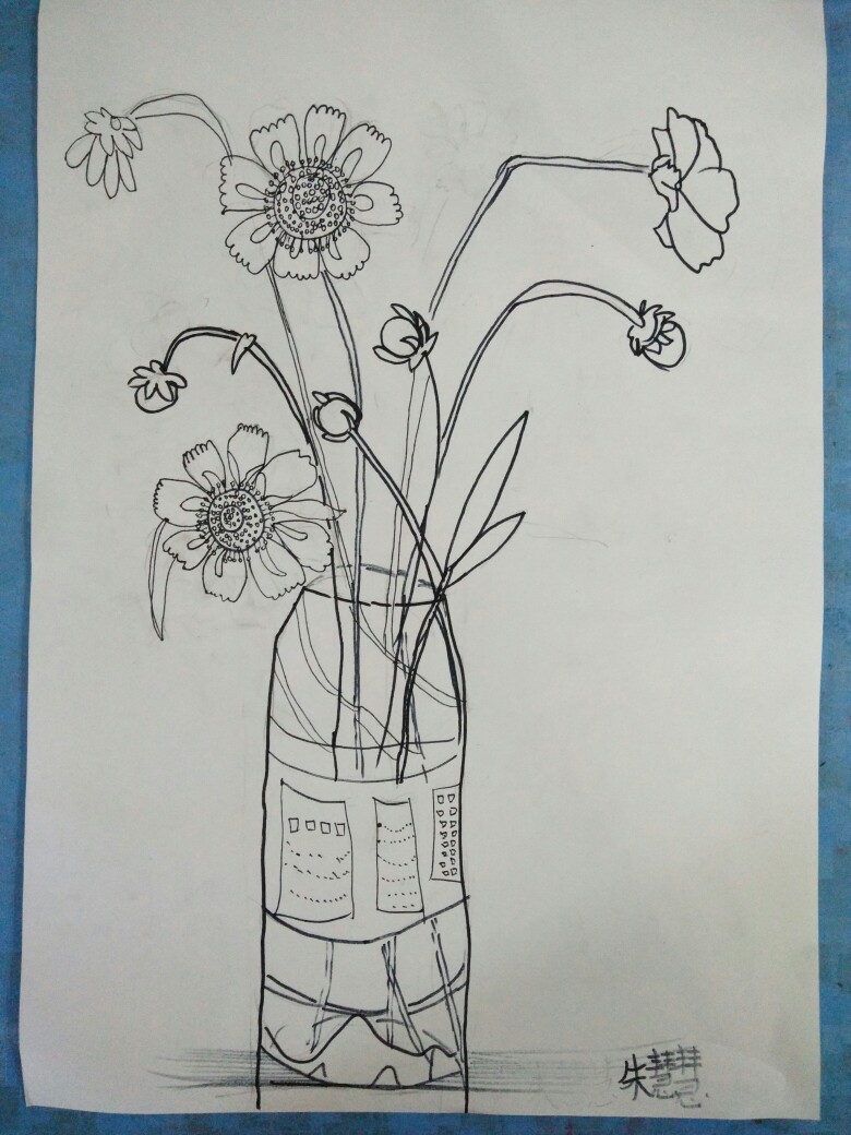 线描植物