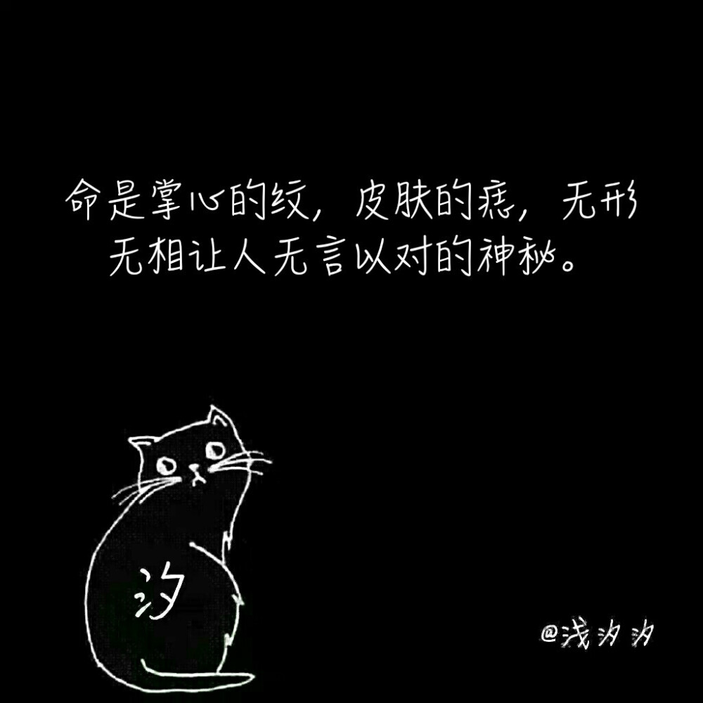 命是掌心的纹，皮肤的痣，无形无相让人无言以对的神秘。
——安意如《人生若只如初见》