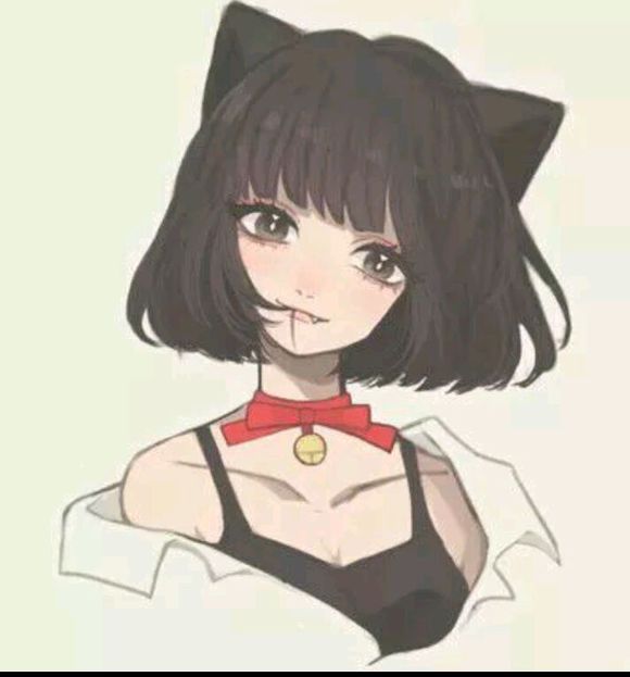 猫耳少女