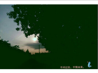 午美