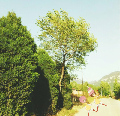 乡间小路