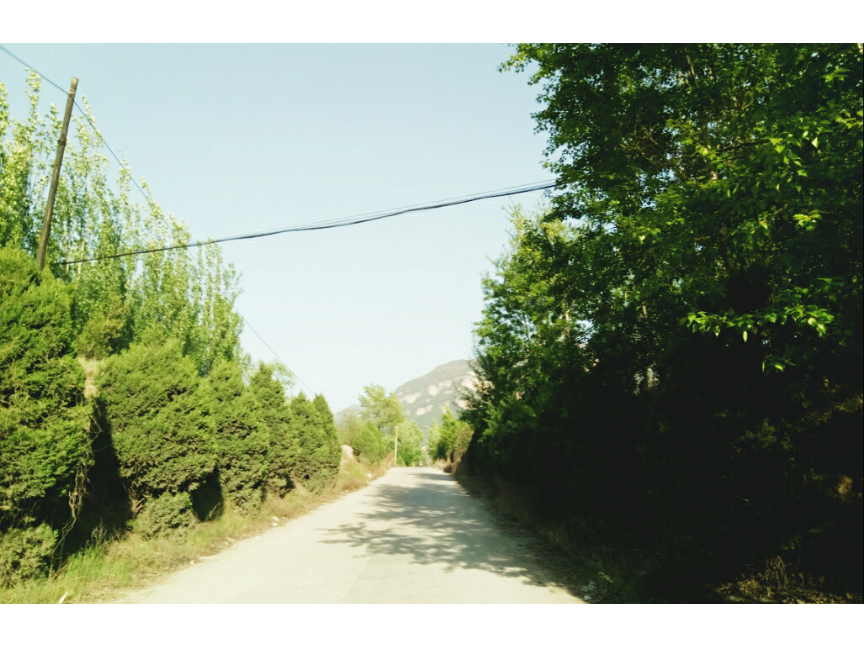 春，万物复苏