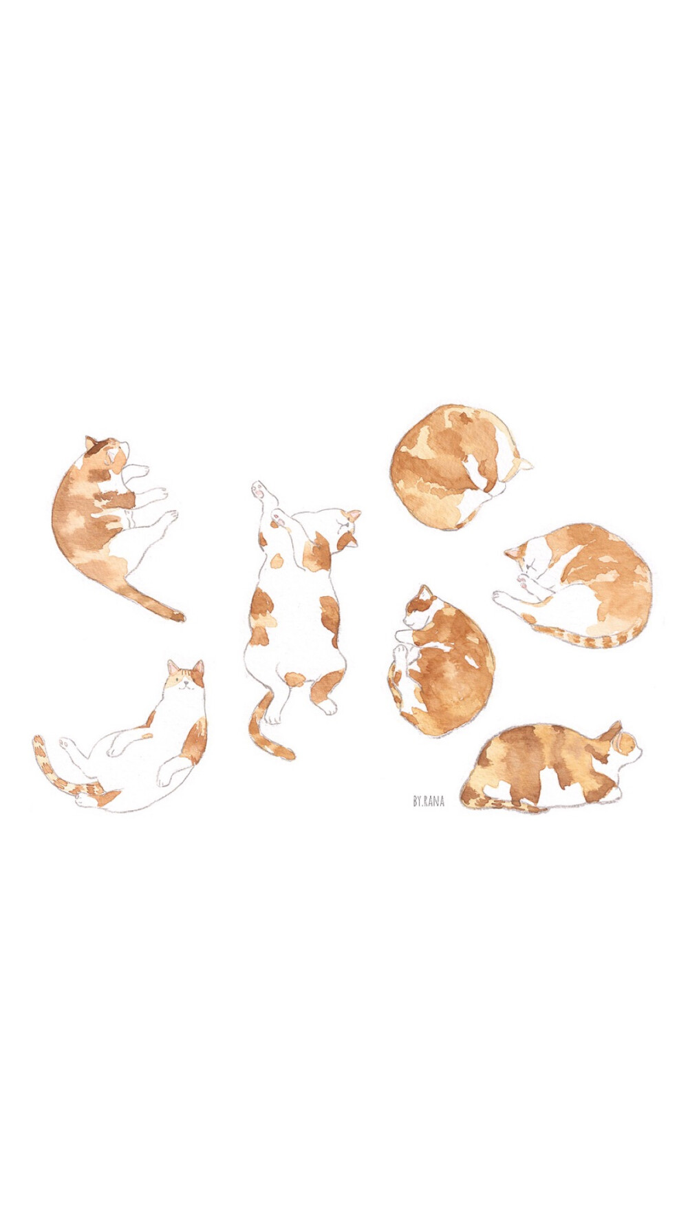 插画壁纸 猫猫