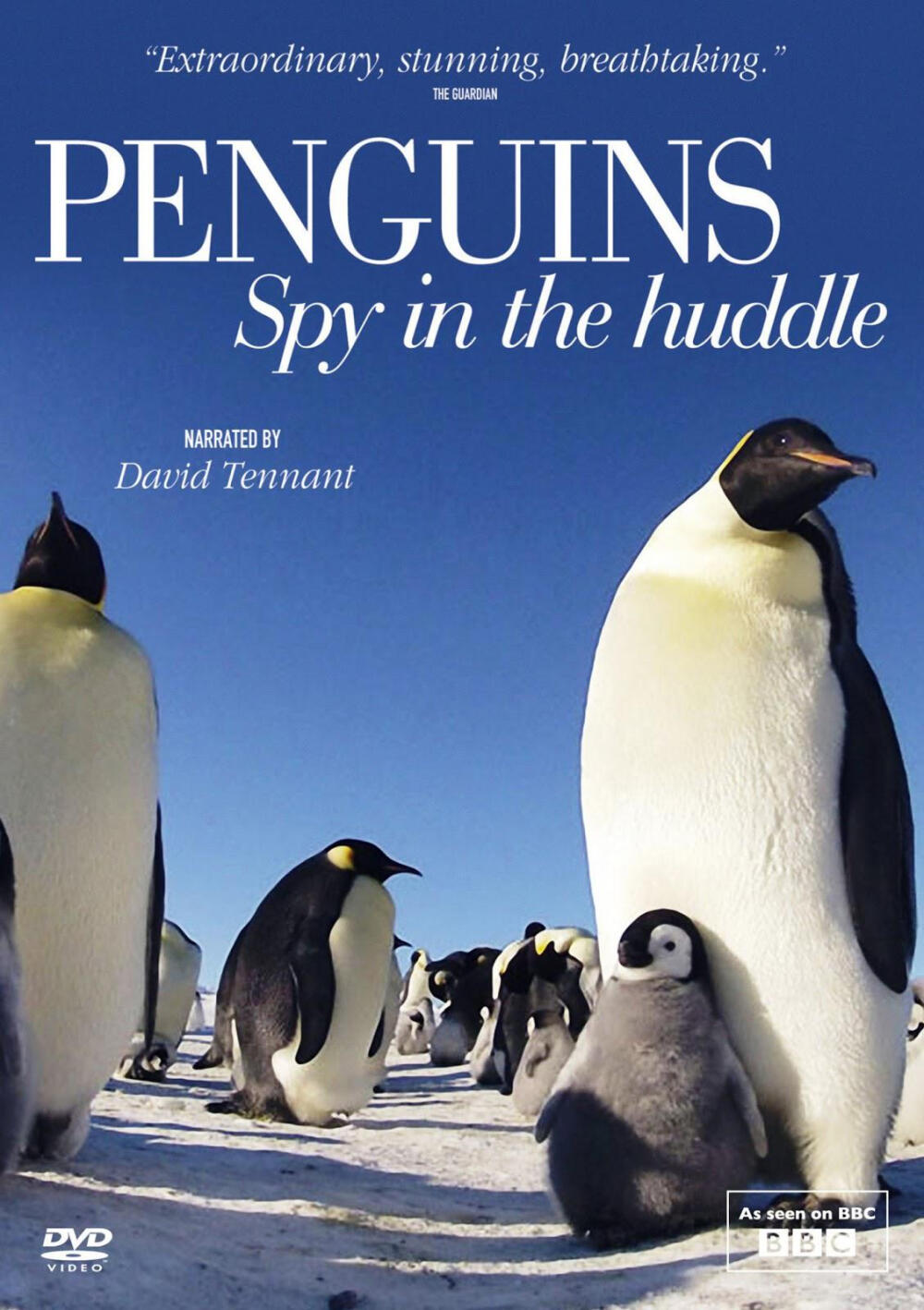 《企鹅群里有特务 Penguins: Spy in the Huddle (2012)》DT配音萌萌的，小企鵝萌萌的，大企鵝也萌萌的，簡直了~