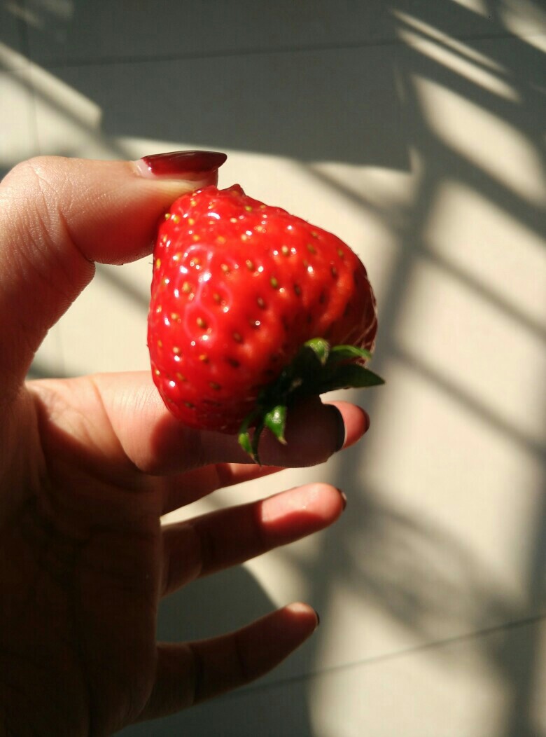 莓