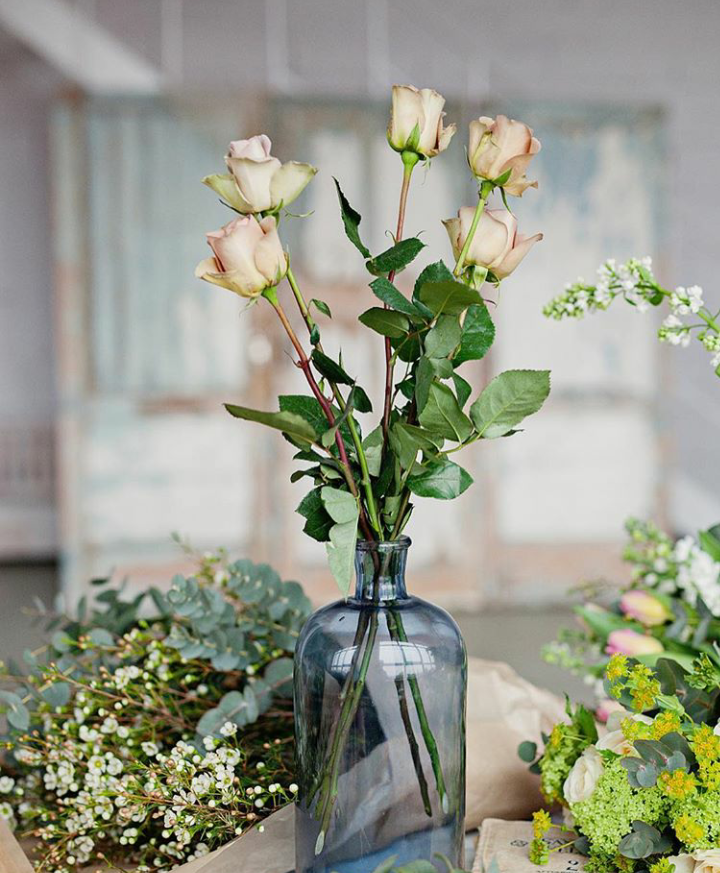 住在森林里＿＿＿森系文艺，我从你眼中看见了森林的葱绿| By 米兰的花匠家i Katherine