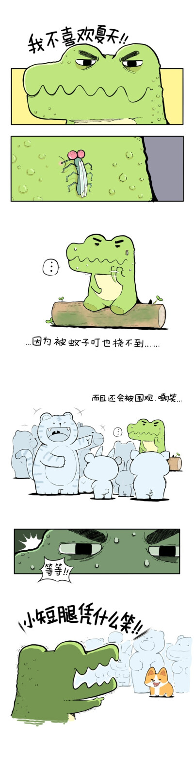 小短腿