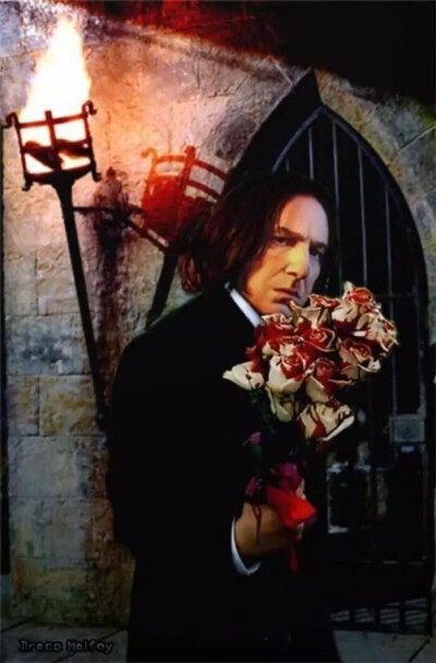 Severus Snape