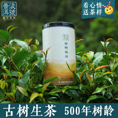 浚号2017春 云南古树普洱茶生茶 500年树龄100g茶叶 灰白芽叶