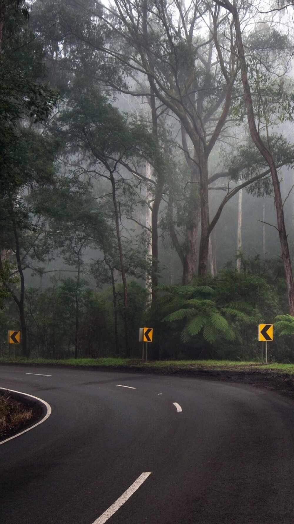 道路 风景