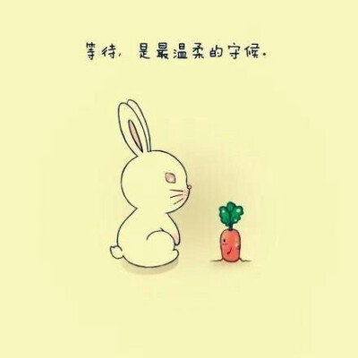 等待，是最温柔的守候