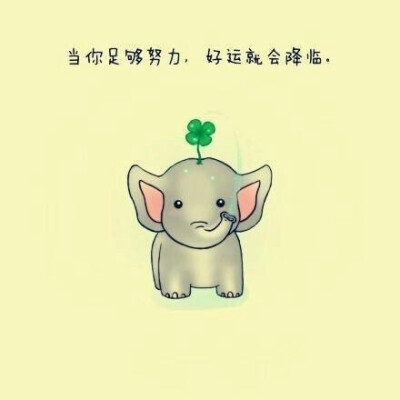 当你足够努力，好运就会降临
