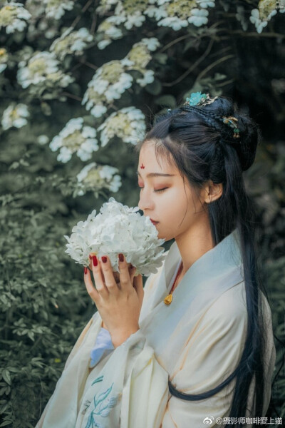 淡香亭外，未闻花开。