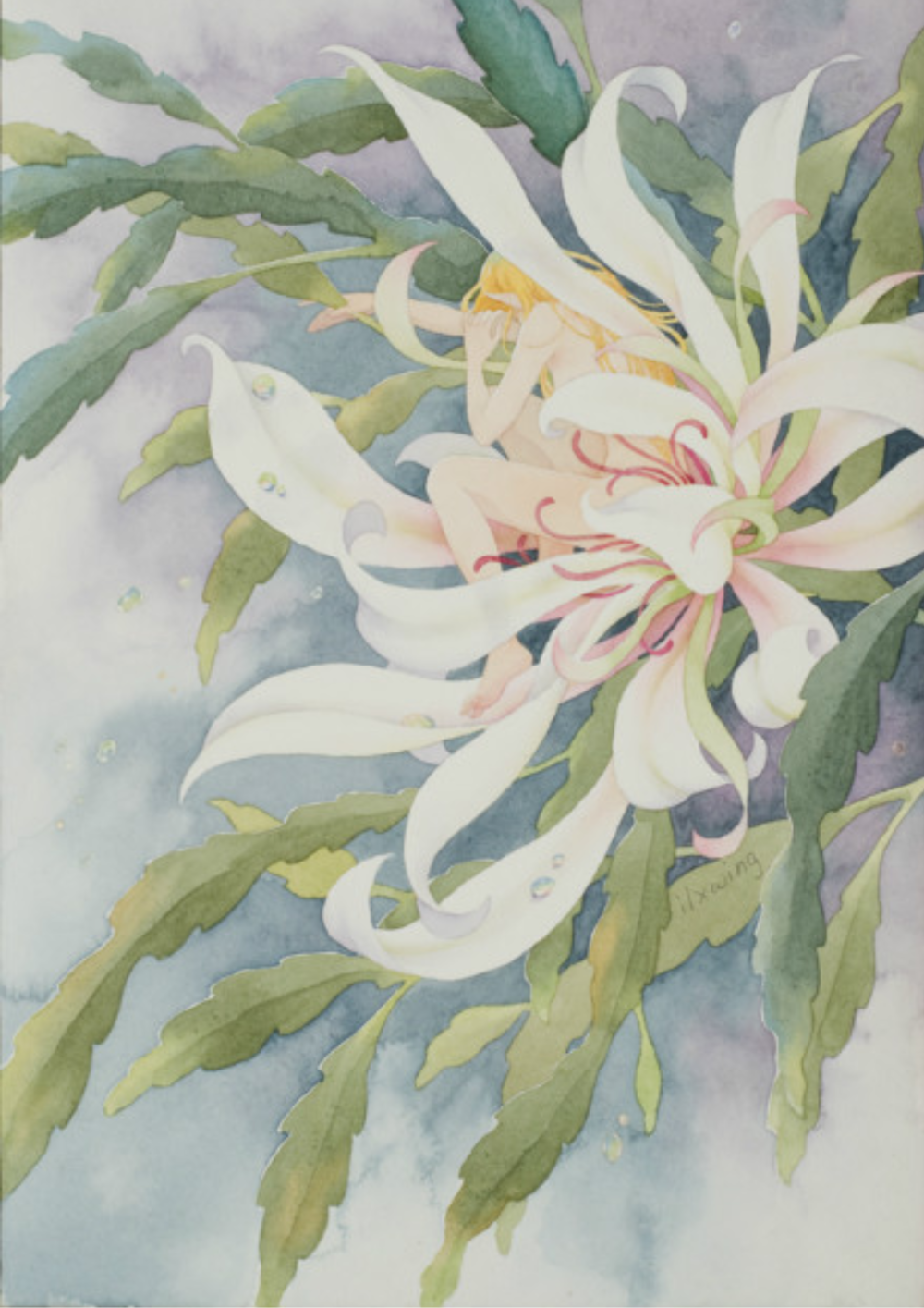 水彩 手绘 花草绘