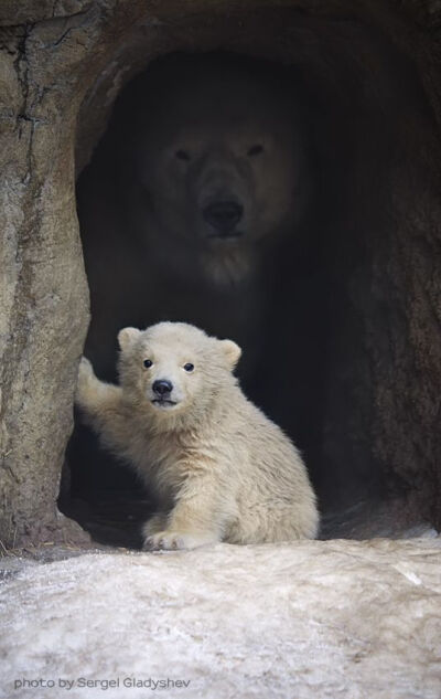 Baby and mama #萌#