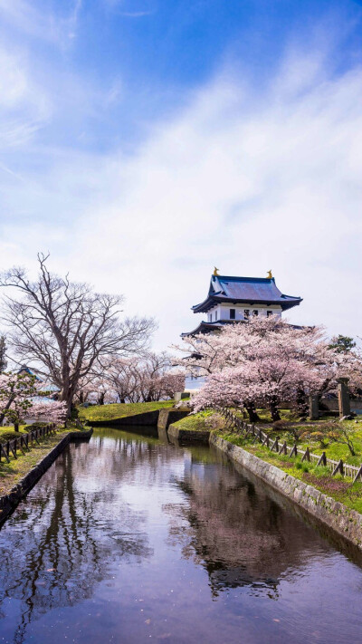 北海道松前城
别名苇阳城，有“樱花之乡”的称号