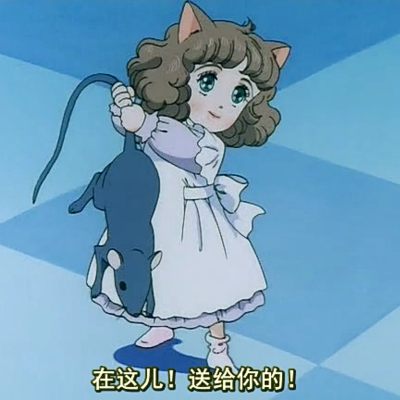 琪比猫/棉花国之星