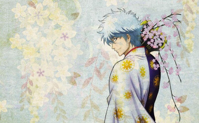 gintama
樱花银桑