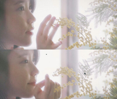 女神iu 拿图点赞 点关注