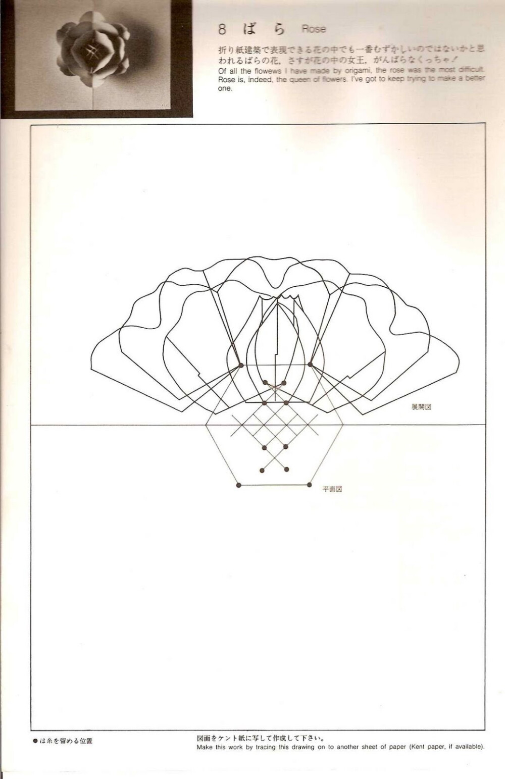 立体卡 180℃ 玫瑰 1/2