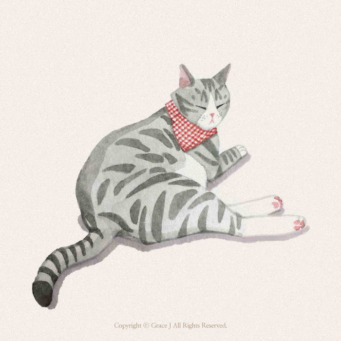猫咪水彩gracej插画