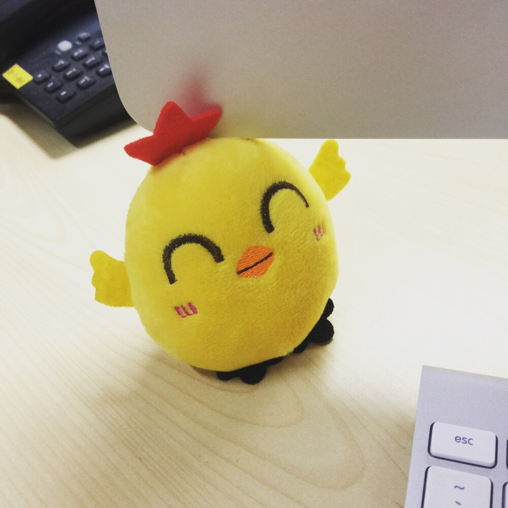 Lisa小姐姐送我的小叽