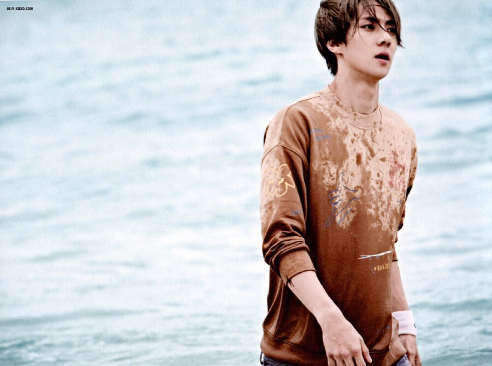 EXO 吴世勋 SE HUN
斐济写真集