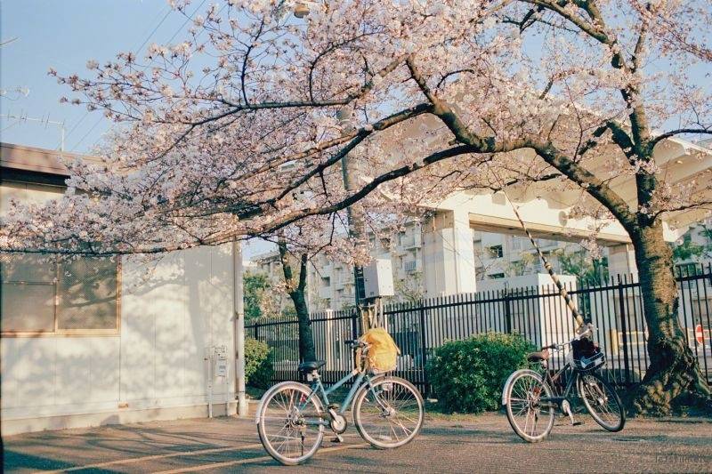 ?；ㄊ飨拢搅镜コ?，仿佛一切都回到那个放学后的下午...