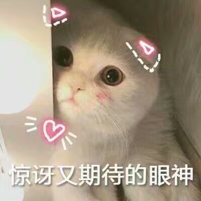 猫猫表情包