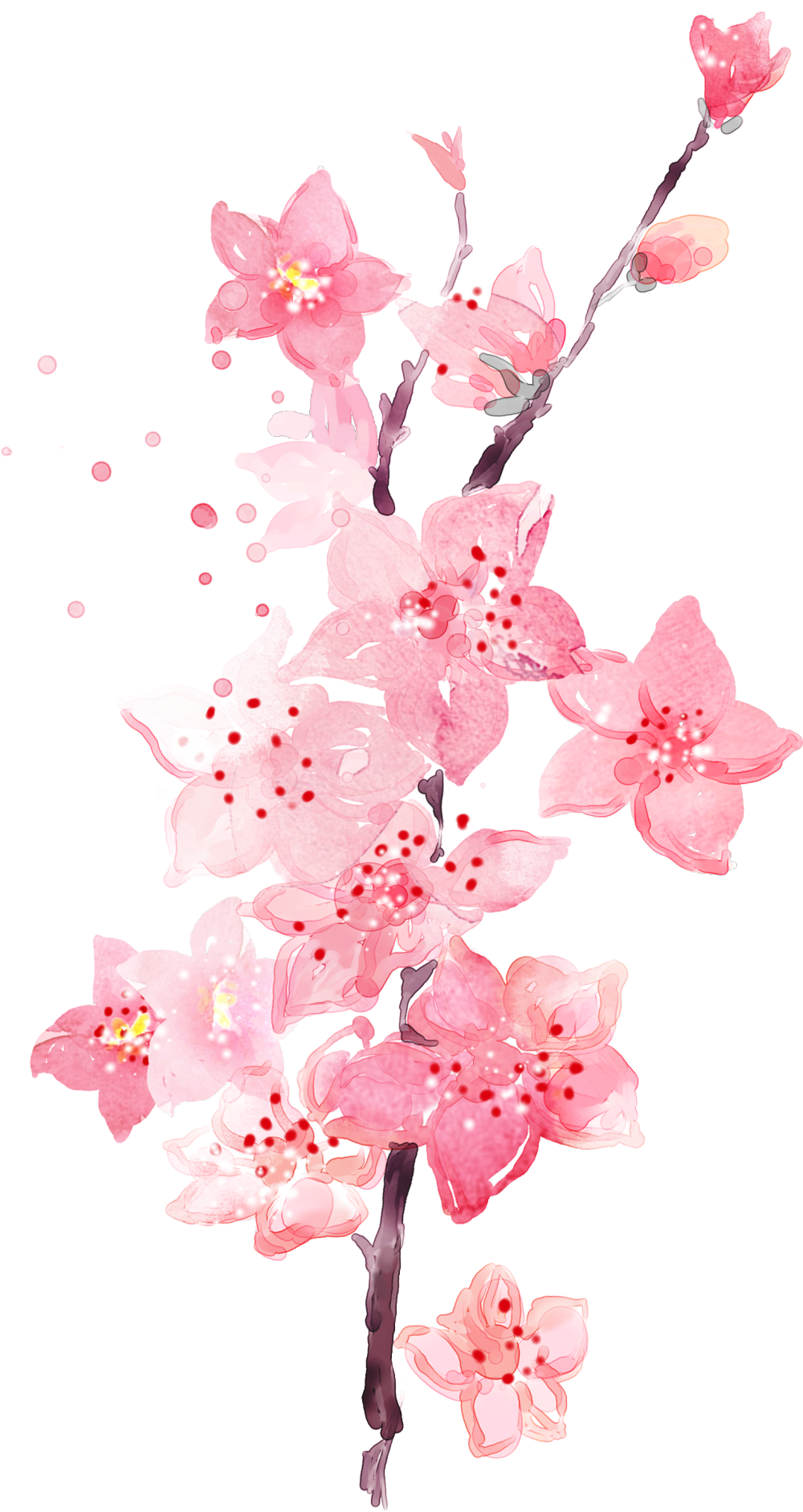 粉色花朵