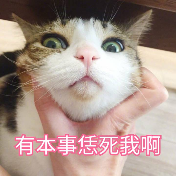 喵
来源 微博 猫咪表情包